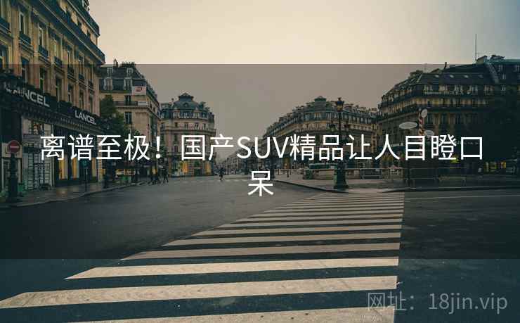离谱至极！国产SUV精品让人目瞪口呆