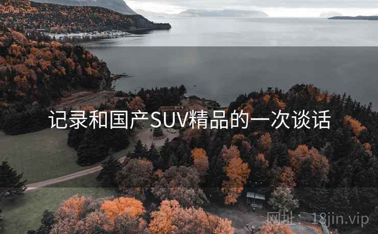 记录和国产SUV精品的一次谈话 记录和国产SUV精品的一次谈话